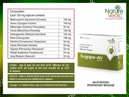 Nature Vedic Sugajas-AV Capsules Ayurvedic Formula for Control Blood Sugar Levels | 30 Caps - 30 Capsules